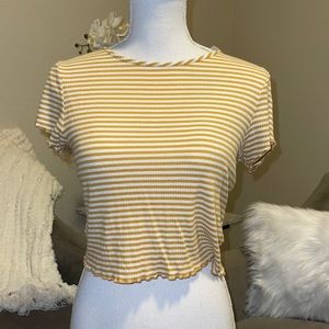 FULL TILT RIBBED CROP TOP